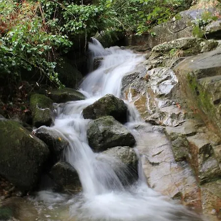 Ferienhaus Casa De La Parra *