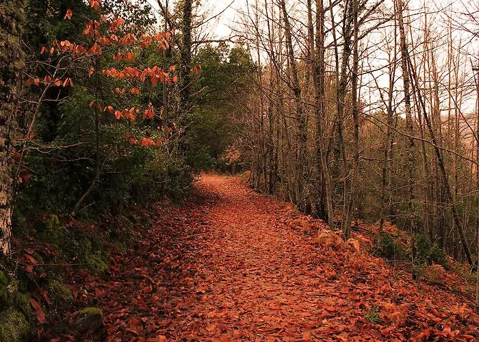 펜션 Casa De La Parra 모가라스